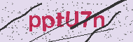 Captcha認証コード